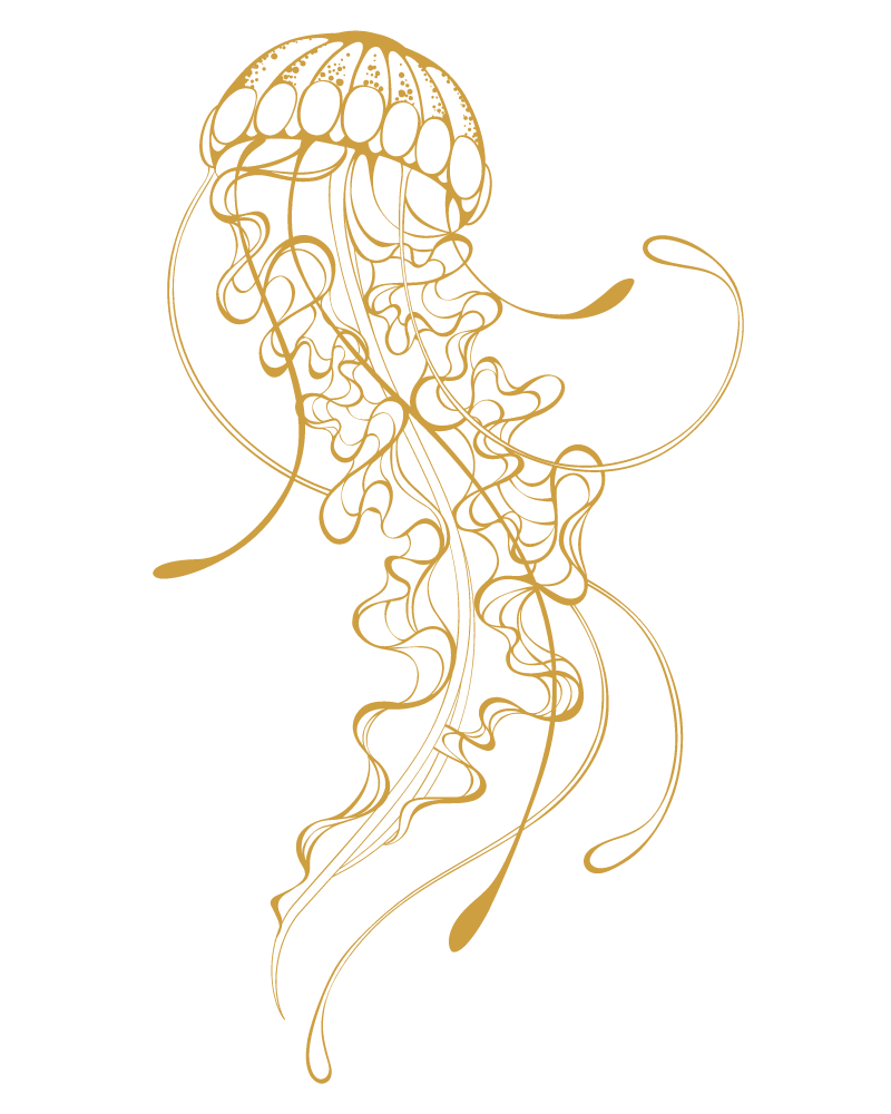 Ontwerp zonder titel – 2023-02-02T154259.327
